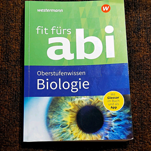 Westermann fit fürs abi